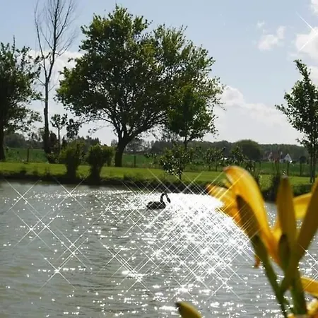 Canard Séjour à la campagne Fromelles