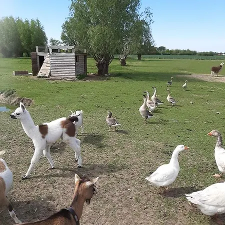 Séjour à la campagne Canard *