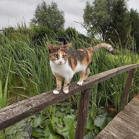 Vakantiehuis Canard Fromelles