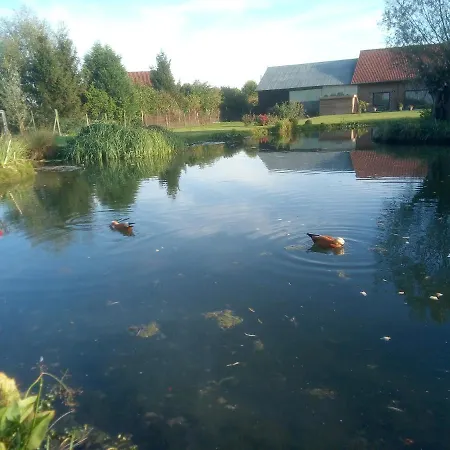 Séjour à la campagne Canard Fromelles